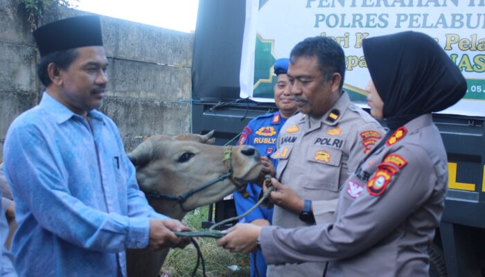 Kapolres Pelabuhan Makassar Sebut, Penyerahan  Sapi Kurban ke BAZNAS Sebagai Rasa Syukur