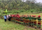 Kisah Mengharukan dari Pelosok Sinjai, Demi Ilmu, Guru Honorer tak Pernah Menyerah, Mereka Taklukan Tebing dan Jalanan Berbatu