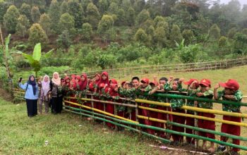 Kisah Mengharukan dari Pelosok Sinjai, Demi Ilmu, Guru Honorer tak Pernah Menyerah, Mereka Taklukan Tebing dan Jalanan Berbatu