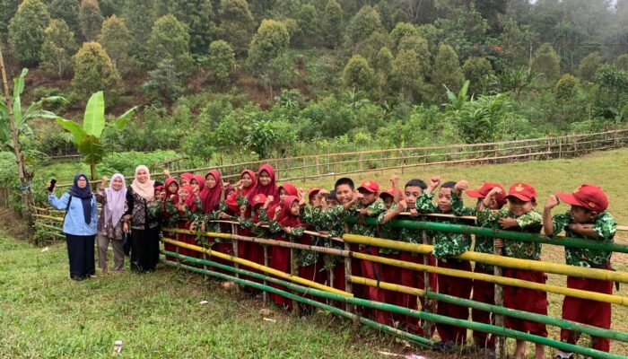 Kisah Mengharukan dari Pelosok Sinjai, Demi Ilmu, Guru Honorer tak Pernah Menyerah, Mereka Taklukan Tebing dan Jalanan Berbatu