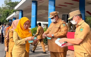 Bupati Maros Bagikan Masker ke ASN